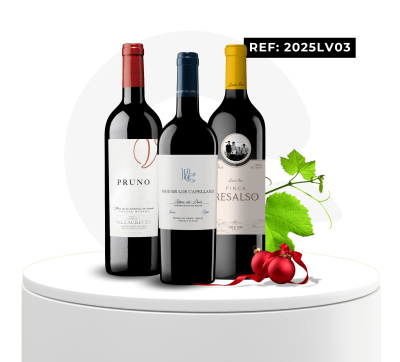 LOTES VINOS REF: 2025LV03